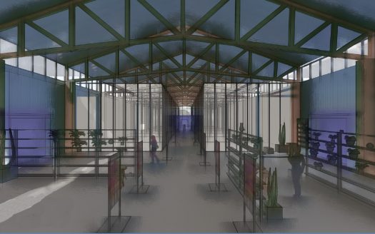 spim mercato dei fiori render interno