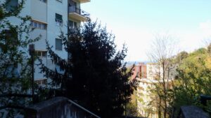 Via Coronata 56/2 con cantina