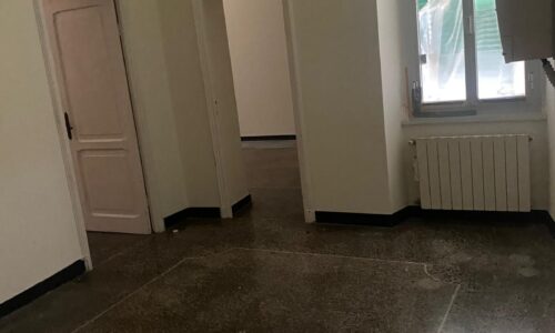 SPIM-genova-giordana-2_13-img0